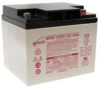 Batterie Plomb ÉTANCHE NP38-12 ENERSYS 12V 38AH