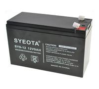 Batterie Rechargeable Au Plomb Sy9-12 12v9ah Alarmes, Balances, Jouets