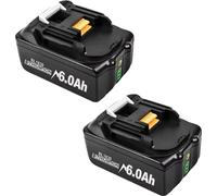 Batterie rechargeable, capacité de 6000mAh, tension de 18V, compatibilité polyvalente, 2 batteries