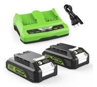 Batteries de rechange 24V 3.0Ah pour outils Greenworks G24B2 et G24B4