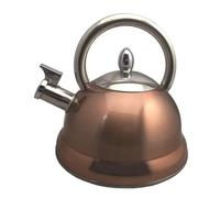 Bouilloire inox à sifflet coloris Cuivre 2.7 L