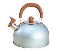 Bavokon Bouilloire Sifflante 2L,Pique-Nique Cuisine avec Manche,Bouilloire Sifflante pour Tout Feux,Théières INOX,Théière Bouilloire Sifflante,Théière Sifflet INOX Rétro pour Cuisinière