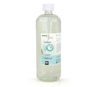 Bayzid SPA 1 L Parfum Sauna - Eucalyptus - Jacuzzi Extérieur | Concentré d'Infusion pour l'Infusion Sauna Sauna - Bulles Massantes Relaxantes - Chauffage Intégré - Montage sans Outils