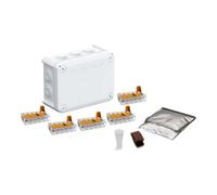 BBC Cellpack BBC Cellpack Boîte universelle T100 WAGO/CG protection contre l'humidité CG Quantité:1