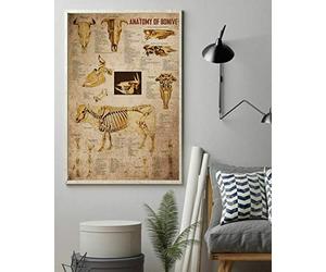 BCTS Poster Anatomie de Vache Affiche murale vintage classique en métal 20,3 x 30,5 cm