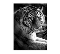 BDHcdfAJGf Moderne Lion Tigre Toile tableau Murale Art Faune Affiche Animal Art Imprimer Noir Et Blanc Toile tableau Peinture Nordique Murale Tableaux Decoration À La Maison 50x70cm Sans Cadre