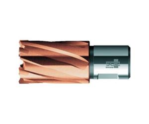 BDS BDS Foret trépan court HKK-PLUS HM queue Weldon 42/30 mm Quantité:1