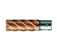 BDS BDS Foret trépan VARIOPlus long KBI HSS queue Weldon 20/50mm Quantité:1