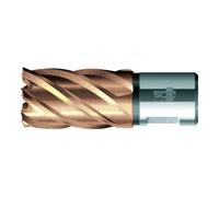 BDS BDS Kernbohrer VARIOPlus court KBK HSS tige Weldon 22/30mm Quantité:1