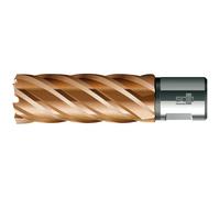 Bds Foret couronne métal 19 mm