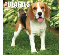 Willow Creek Press, Just Beagles Calendrier mural 2027
