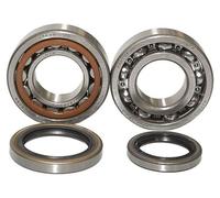 BEARING WORX : Roulements de vilebrequin pour Sherco SE-R 250 2T (modèles 2014-2016), SE-R 300 2T (modèles 2014-2016) (fabrication NTN, fabriqué au Japon)