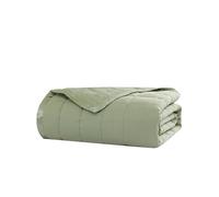 Beatrice Home Fashions Couverture Alternative en Duvet de Couleur Unie, lit Double/Grand lit, Sauge
