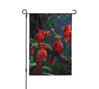 Beau drapeau de jardin imprimé oiseaux rouges 71,1 x 101,6 cm, drapeau de décoration extérieure double face pour jardin, terrasse, pelouse, jardin, porche
