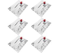 Beaupretty Paquet à Vin Réutilisables 6pcs 2l avec Valve à Charnière en NY Vmpet PE, Rechargeables pour Rangement et Transport Lors de Voyages et Rassemblements