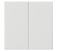Bedienaufsatz 536203 S3000 2f System 55 reinweiß (536203,00)