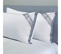 BedStory Lot de 2 Oreillers 60 x 60CM, en Microfibre de Haute Qualité, Respirant avec Maille, Doux et Confortable, Anti-Acarien et Hypoallergénique