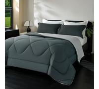 beeweed Couette 300GSM en Microfibre, Certifiée Oeko-TEX, Édredon Lit 2 Personnes 200x200 cm, Toutes 4 Saisons et Hiver pour Lit 140x190 160x200, Chaud Épais Garnissage 300g/m², 2 Taie d'oreiller