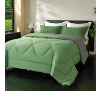 beeweed Couette 300GSM en Microfibre, Certifiée Oeko-TEX, Édredon Lit 2 Personnes 200x200 cm, Toutes 4 Saisons et Hiver pour Lit 140x190 160x200, Chaud Épais Garnissage 300g/m², 2 Taie d'oreiller