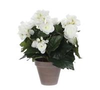 Bégonia Artificielle Blanc En Pot H30