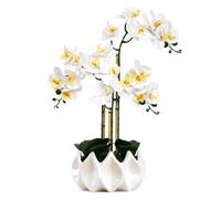 BelaLusa Orchidées artificielles comme de véritables blanches - 70 cm - Orchidée artificielle faite à la main dans un pot en céramique avec mousse et bambou - Décoration facile d'entretien pour salon