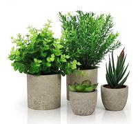 BELLE VOUS Lot de 4 Fausses Plantes en Pot - Eucalyptus, Langue de Serpent et Plantes Succulentes Artificielles - Fausse Plante Grasse pour Bureau, Chambre, Cuisine ou Décoration de la Maison