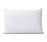 BELLECOUR LITERIE - Oreiller 45x70 cm GRAND PALACE - Fibres creuses polyester Blanc G