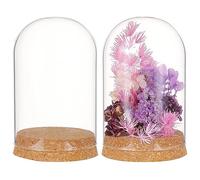 BENECREAT 2 Ensemble Dôme D'Affichage en Verre avec Base en Liège, Pot de Cloche de Pièce Maîtresse de Table de 80x117.5mm pour Plantes à Fleurs, Spécimens Décorations, Diamètre Intérieur: 76 mm
