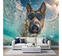 Berger Allemand Natation Papier Peint Photo 400 x 280 cm Murale Panoramique | Photographie Animaux Murale Stickers Intissé pour Cuisine Chambre Salle Salon Décor Fond TV