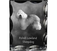 Berger polonais des plaines - cristal avec photo du chien, statuette en verre avec photo, cadre unique avec photo de la marque Art-Dog