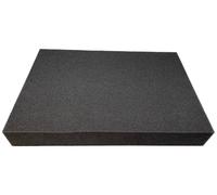 Berger & Schröter 60824 RG2540 Insert en mousse (L x l x H) 455 x 320 x 60 mm