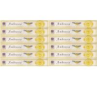 Berk HS-100-P4-12 Lot de 12 paquets de bâtonnets d'encens Ambroisie