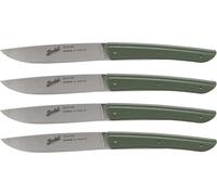 Berkel set de couteaux à steak 4 pcs Color verde