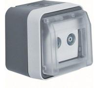 Berker 12033515 Prise d'antenne 2 trous avec couvercle rabattableAP, prise individuelle gris/gris clair mat Berk