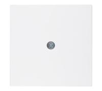 berker Berker Pièce centrale pws pour prise VDo 10191909 Quantité:1