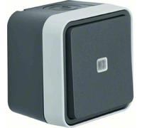 Berker Bouton-poussoir inverseur 50763505