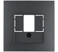 Berker Pièce centrale p.TDO- 6810331606 Prise B.1/B.3/B.7 verre anthracite, Bouton + interrupteur, Gris