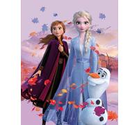 BERONAGE Disney La Reine des Neiges Dreamteam Tapis de Jeu pour Enfant 100 cm x 133 cm Anti-bruit Antidérapant Anna ELSA Olaf Sven Kristoff pour Fille Arendelle Nokk