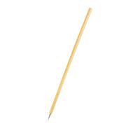 BESPORTBLE Stylo à Dessin Chinois pour Calligraphie et Aquarelle, Beige | Pinceau à Encre, Fonction Peinture Facile à Utiliser, Style Simple et Soigné, Finition Exquise Couleur Aléatoire