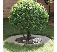Best Möbel Anneau d'arbre plat Argent Ø40 / 70 cm Acier galvanisé - Parterres CL9323624 1parcel