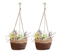 BestAlice 2pcs Paniers Suspendus pour Plantes Suspendus Planteur 7.8in Rotin Fleur Panier Pots Titulaire Cintre Bassin Epipremnum Aureum Pot Corde De Chanvre Mur Paille Jardinière Décorative(#3)