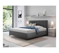 Bestmobilier Mendoza lit coffre 160x200