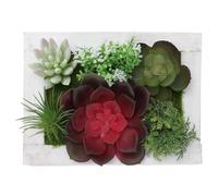 BESTOMZ Cadre Photo Créatif Applique Murale Décorative Plante Artificielle Succulente en Bois pour Décoration Murale Réaliste, pour Camping et Intérieur