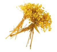 BESTonZON Bouquet de Fleurs Séchées Naturelles Gypsophile Jaune, 3 Bottes en Paille pour Décoration Rustique de Table ou Bureau, Ambiance Naturelle sans Arrosage