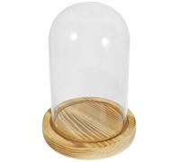 BESTonZON Dôme pour Protection des Fleurs Séchées en Verre Transparent avec Socle en Bois Naturel Rond Décoration Intérieure Élégante et Solide