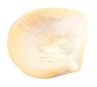 BESTOYARD Assiette Décorative en Coquillage Naturel Forme Unique, Facile à Nettoyer, pour Maison ou Restaurant, Plateau Élégant pour Desserts et Collations