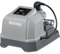 Bestway Chlorateur au Sel 2 g/h - 1 pcs
