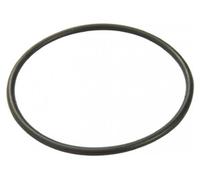 Bestway Joint bouchon de filtre pour pompe de filtration (NA) 330gal