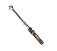 BETA 666N/30, 60/300 nm, Clé Dynamométrique Sans Réarmement, Clé à Cliquet Réversible, Facile à Installer, Haute Visibilité, Ergonomique, pour Serrage à Droite avec une Précision de ±3%