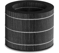 Beurer Filtre de rechange 110005 pour LB 200 / LB 300 Plus Noir